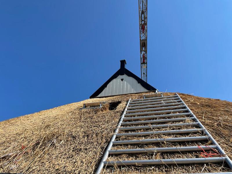 Geplaatst uilenbord in Maarhuizen