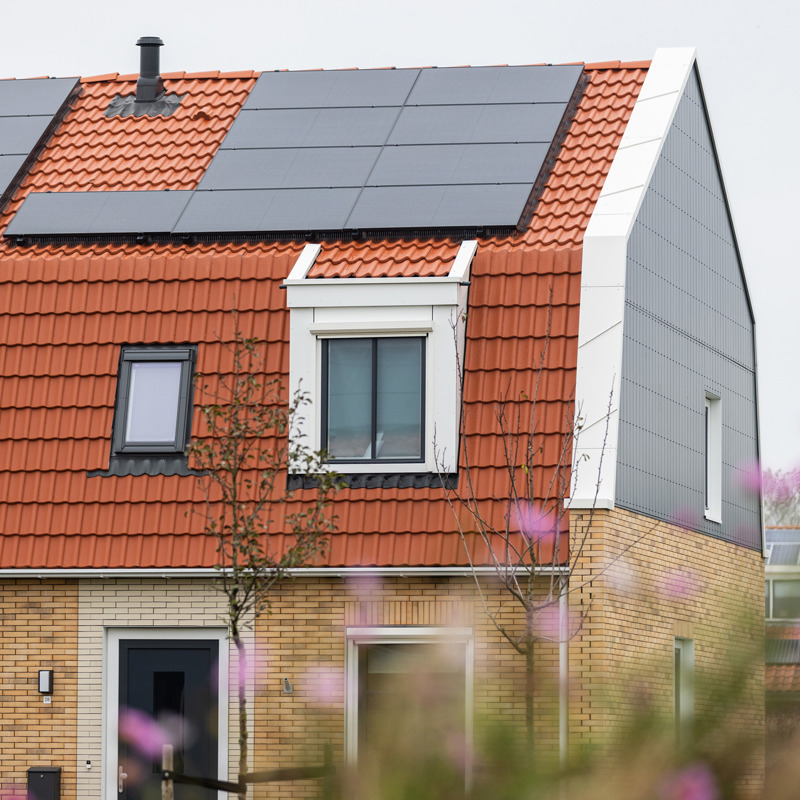 Schiermonnikoog Dijkstra