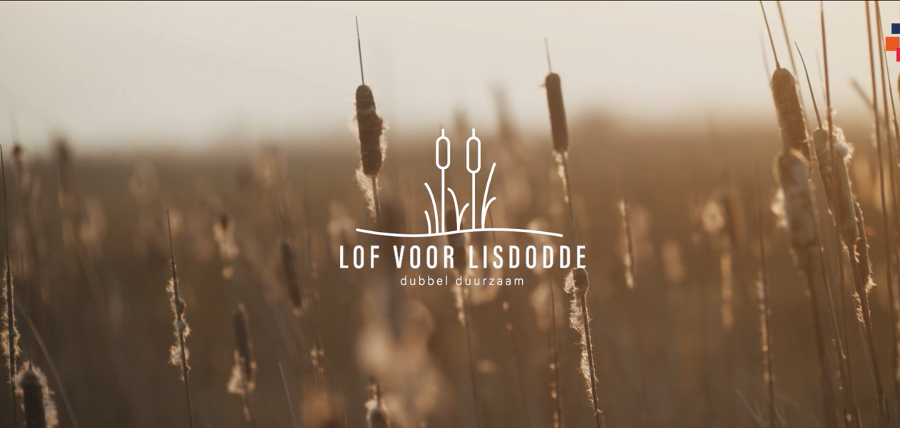 Isolatie uit ‘sigarenplant’ lisdodde houdt huizen van de toekomst Bouwgroep Dijkstra Draisma warm