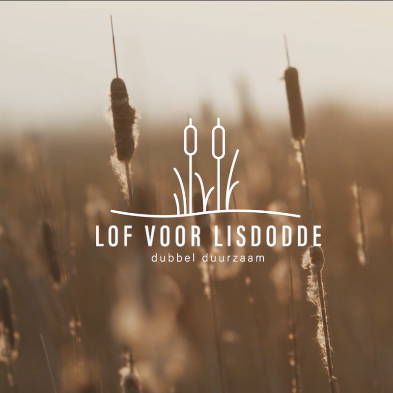 Lof voor lisdodde