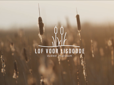 Isolatie uit ‘sigarenplant’ lisdodde houdt huizen van de toekomst Bouwgroep Dijkstra Draisma warm