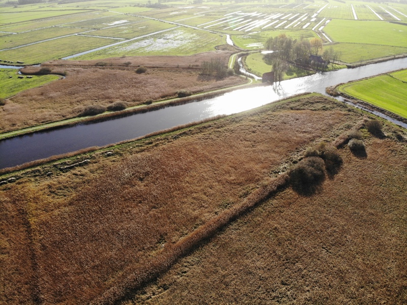Luchtfoto van grond waarop lisdodde verbouwd gaat worden